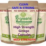 Ginkgo Biloba 15000mg Capsules 100% Natural Clean Safe Strong 24% Glycosides 6% Terpene lactones Strongest on Amazon 4 Months Supply (90)