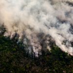 Tropical Forest Destruction Accelerated in 2020