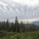 Biden to Restore Protections for Tongass National Forest in Alaska