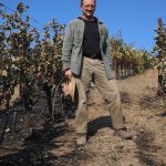 California Wine Country Rebuilds as Threats Persist