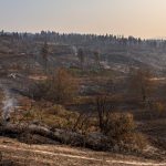 Wildfires in Greece: After a Long Battle, Firefighters Contain Blazes